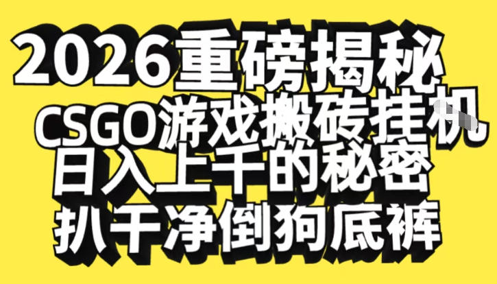 2026开年重磅解密，CSGO游戏搬砖挂G日入1k+的秘密，把倒狗的底裤扒干【揭秘】-DE云网创