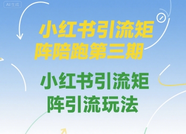 小红书引流矩阵陪跑第三期，小红书引流矩阵引流玩法-DE云网创
