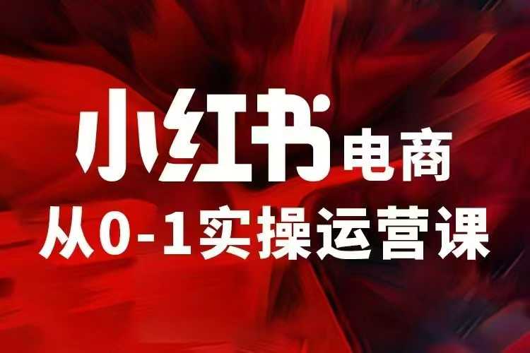 小红书电商运营，97节小红书vip内部课，带你实现小红书赚钱-DE云网创