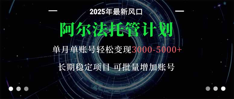 阿尔法托管计划 单账号月入3000-5000，长期稳定项目，新手小白轻松上手。-DE云网创