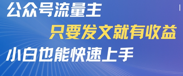 公众号流量主，只要发文就有收益，小白也能快速上手-DE云网创