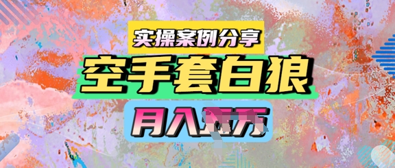 空手套白狼，月入过1W，实操案例分享-DE云网创