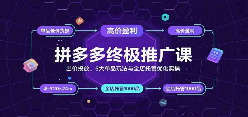 拼多多终极推广课：出价投放、5大单品玩法与全店托管优化实操-DE云网创