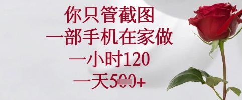 你只管截图，一部手机在家可以做，一小时120.一天5张+【揭秘】-DE云网创
