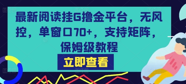 最新阅读挂G撸金平台，无风控，单窗口70+，支持矩阵，保姆级教程【揭秘】-DE云网创