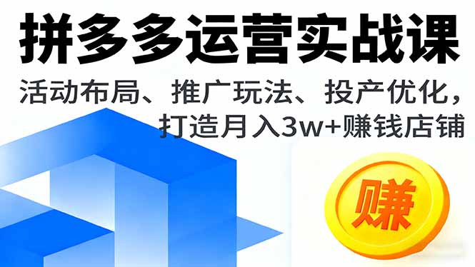 拼多多运营实战课，活动布局、推广玩法、投产优化，打造月入3w+赚钱店铺-DE云网创
