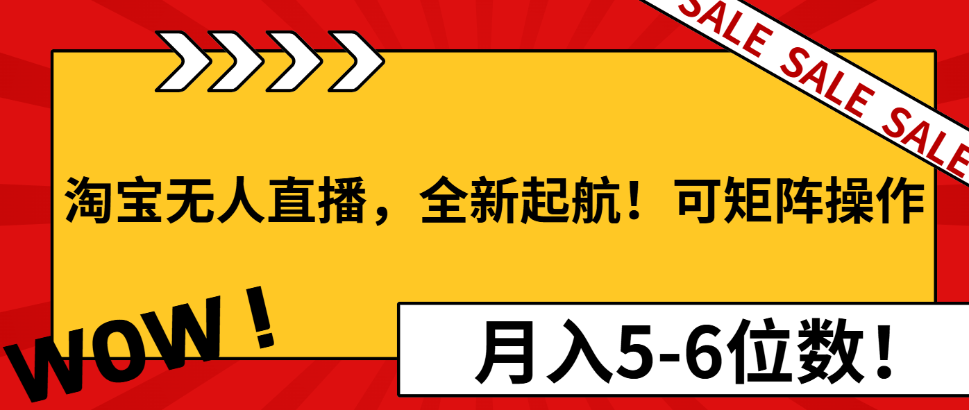 （13946期）淘宝无人直播，全新起航！可矩阵操作，月入5-6位数！-DE云网创
