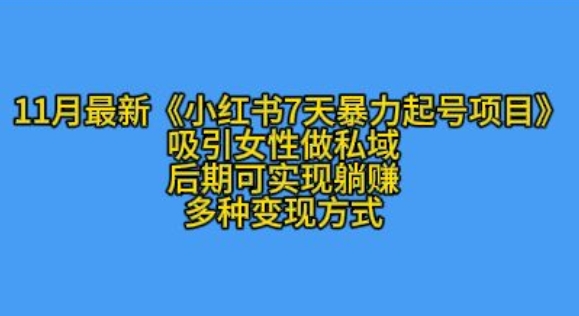 K总部落11月最新小红书7天暴力起号项目，吸引女性做私域【揭秘】-DE云网创
