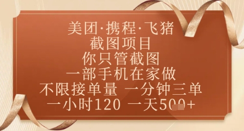 飞猪美团截图项目，你只管截图，一部手机在家做，正规平台无套路，一天5张+【揭秘】-DE云网创