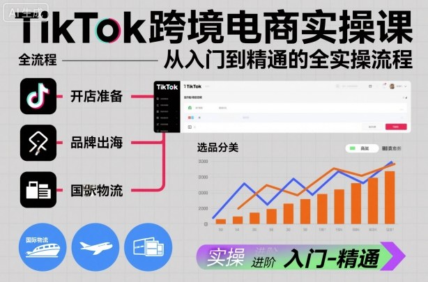 TikTok跨境电商实操课，从入门到精通的全实操流程-DE云网创