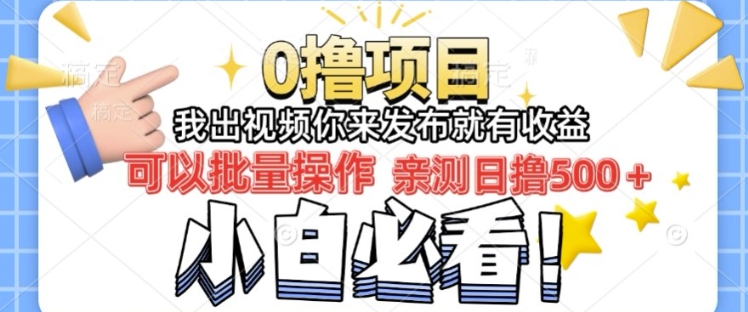 我出视频你直接领取发布就有收益日入几张的0撸项目，速度搞-DE云网创