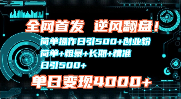 全网首发，简单操作日引500+创业粉，简单+粗暴+长期+精准-DE云网创