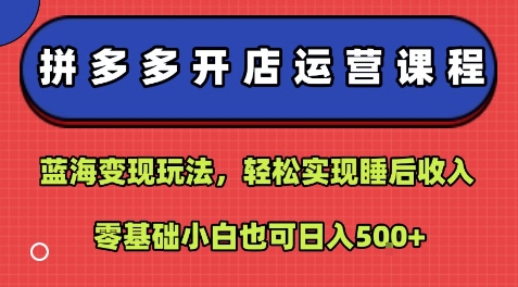 拼多多开店运营课程:蓝海变现玩法,轻松实现睡后收入,零基础小白也可日入5张插图 拼多多开店运营课程:蓝海变现玩法,轻松实现睡后收入,零基础小白也可日入5张