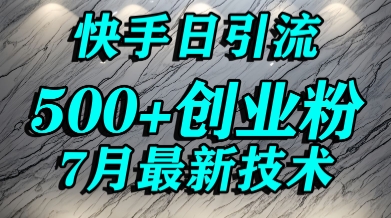 创业粉怎么打？快手精准引流创业粉，宝妈群体日进500+精准流量-DE云网创