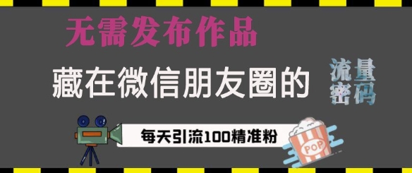 藏在微信朋友圈的流量密码，无需发布作品，单日引流100+精准创业粉【揭秘】-DE云网创