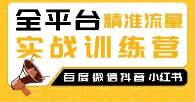 全平台精准流量实战训练营，百度微信抖音小红书SEO引流教程-DE云网创