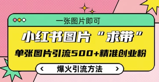 小红书图片‘求带’爆火引流法，单张图片引流500+精准创业粉【揭秘】-DE云网创