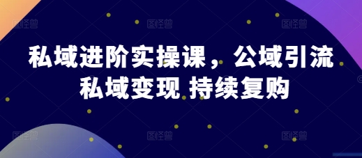 私域进阶实操课，公域引流 私域变现 持续复购-DE云网创
