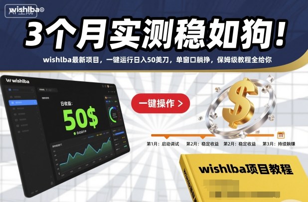 3个月实测稳如狗!wishlba最新项目,一键运行日入50美刀,单窗口躺挣,保姆级教程全给你【揭秘】-DE云网创