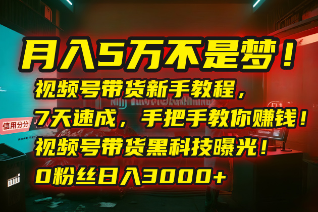 （15595期）月入5万不是梦！视频号带货新手教程，7天速成，手把手教你赚钱！视频号…-DE云网创