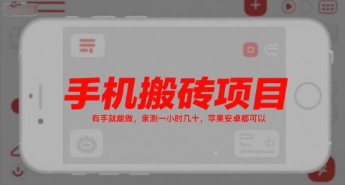 手机搬砖项目，有手就能做，亲测一小时几十，苹果安卓都可以-DE云网创
