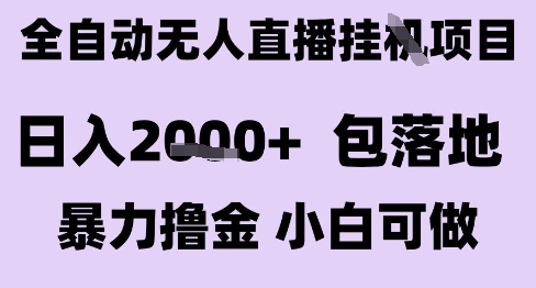 最新全自动抖音无人直播挂G项目，日入2k+ 包落地暴力撸金，小白可做【揭秘】-DE云网创