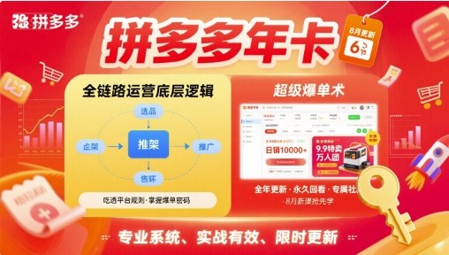 拼多多年卡【8月更新6节】拼多多全链路运营底层逻辑,超级爆单术插图 拼多多年卡【8月更新6节】拼多多全链路运营底层逻辑,超级爆单术