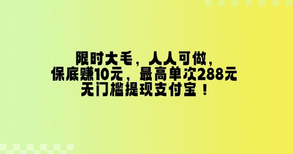 限时大毛，人人可做，保底挣10元，最高单次288元，无门槛提现支付宝！-DE云网创