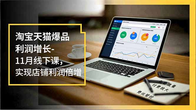 淘宝天猫爆品利润增长-11月线下课，免费流量、付费放大、费比管控，实现店铺利润倍增-DE云网创