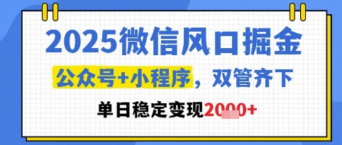 2025微信风口掘金，公众号+小程序双管齐下，单日稳定变现1k+【揭秘】-DE云网创