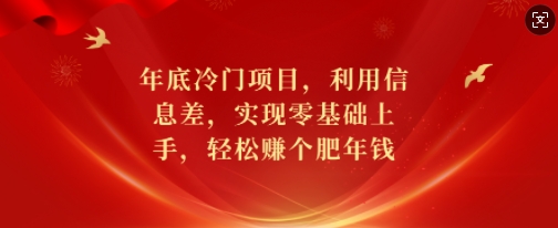 年底冷门项目，利用信息差，实现零基础上手，轻松赚个肥年钱【揭秘】-DE云网创