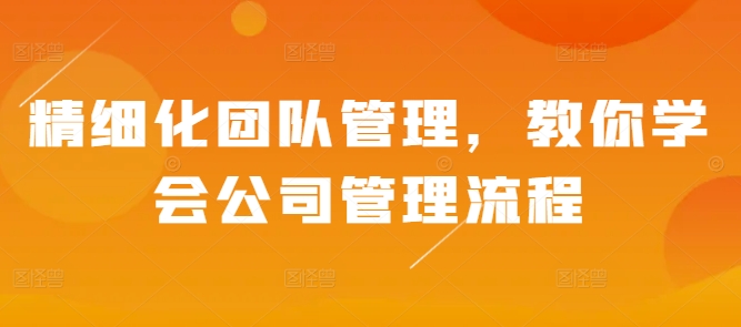 精细化团队管理，教你学会公司管理流程-DE云网创