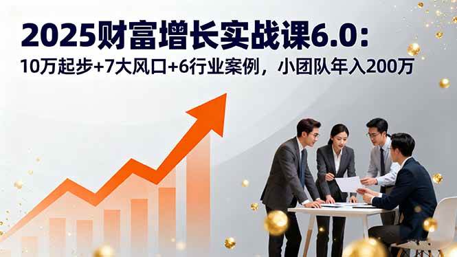 （16004期）2025财富增长实战课6.0：10万起步+7大风口+6行业案例，小团队年入200万-DE云网创