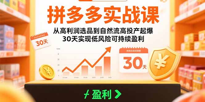 （15586期）拼多多实战课：从高利润选品到自然流高投产起爆 30天实现低风险可持续盈利-DE云网创