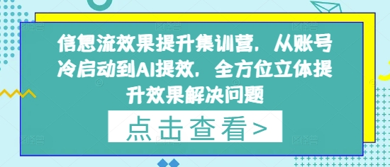 信息流效果提升集训营，从账号冷启动到AI提效，全方位立体提升效果解决问题-DE云网创