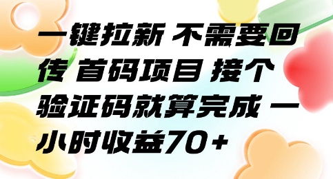 一键拉新 不需要回传 首码项目 接个验证码就算完成 一小时收益70+【揭秘】-DE云网创