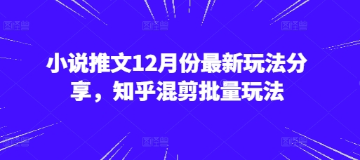 小说推文12月份最新玩法分享，知乎混剪批量玩法-DE云网创