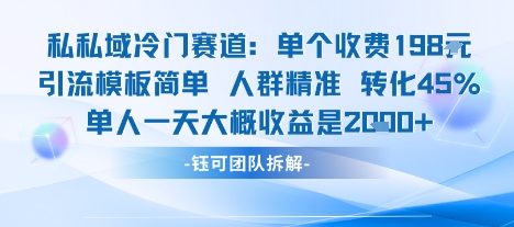 私域冷门赛道单个收费198米引流模板简单人群精准 45%的转化率单人一天大概收益多张-DE云网创