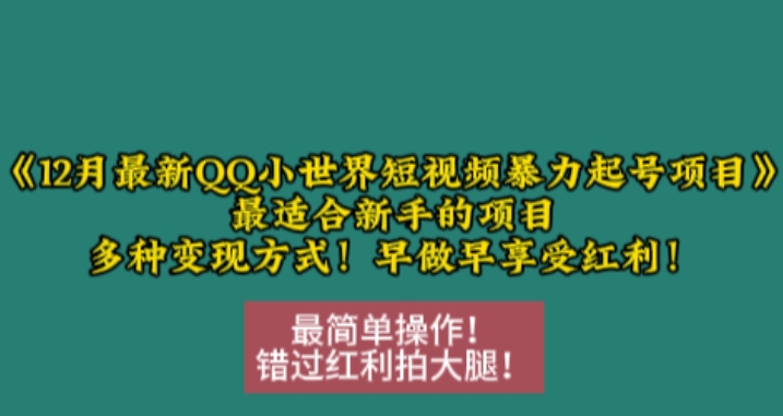 12月最新QQ小世界短视频暴力起号项目，最适合新手的项目，多种变现方式-DE云网创