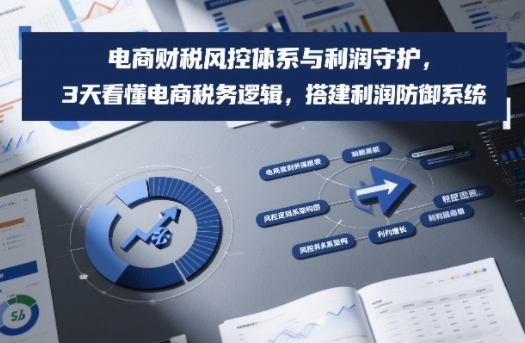 电商财税风控体系与利润守护,3天看懂电商税务逻辑,搭建利润防御系统插图 电商财税风控体系与利润守护,3天看懂电商税务逻辑,搭建利润防御系统