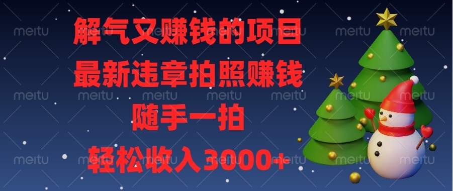 （13686期）解气又赚钱的项目，最新违章拍照赚钱，随手一拍，轻松收入3000+-DE云网创