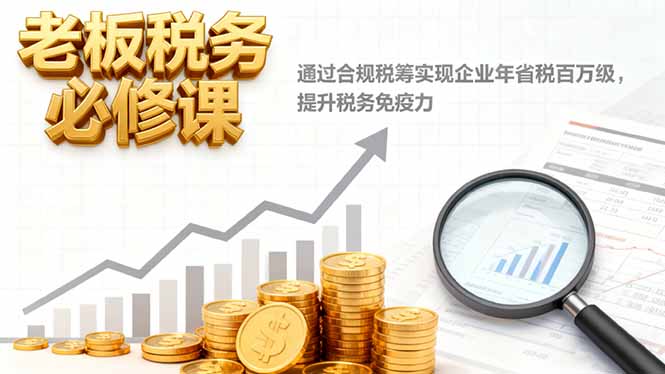 老板税务必修课，通过合规税筹实现企业年省税百万级，提升税务免疫力-DE云网创