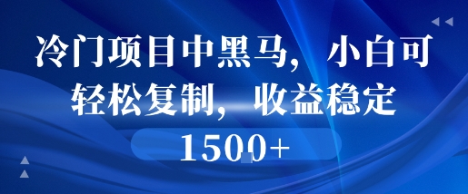 冷门项目中黑马，小白可轻松复制，收益稳定1.5k-DE云网创