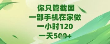 你只管截图，一部手机在家做，苹果安卓都可以，一天5张+【揭秘】-DE云网创