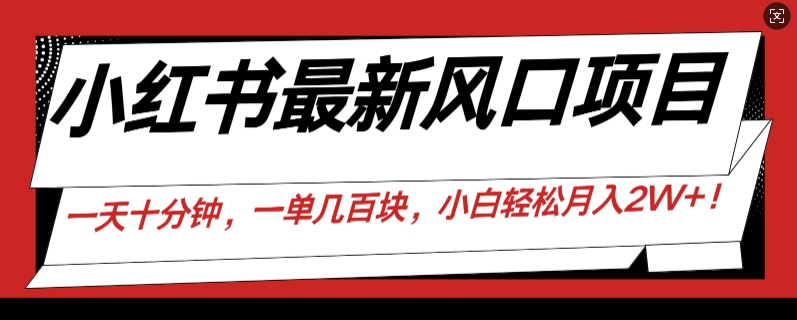 小红书最新风口项目，一天只用10分钟，一单几百块，小白简单无脑操作!-DE云网创