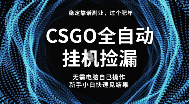 【稳定副业】全球最热门游戏CSGO全自动捡漏，最新玩法，新手小白日入5张+【揭秘】-DE云网创