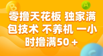 零撸天花板，独家满包技术 不养机 一小时撸满50+【揭秘】-DE云网创