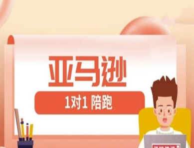 亚马逊1对1陪跑课(FBA/FBM精铺)跨境亚马逊教程-DE云网创