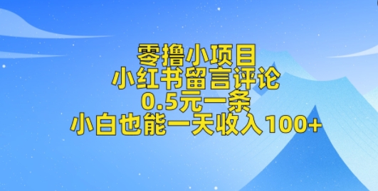 零撸小项目，小红书留言评论，0.5元一条，小白也能一天收入100+-DE云网创