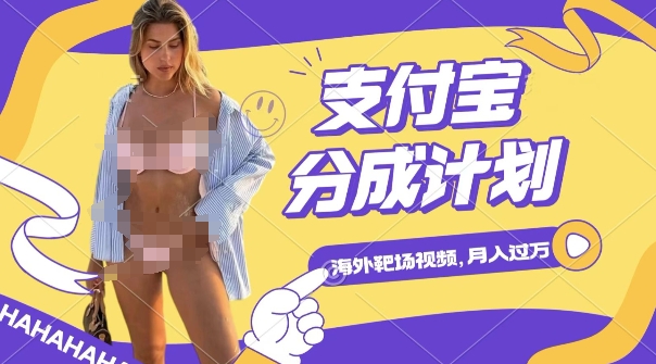 利用海外靶场射击视频，挣支付宝分成收益，轻松月入过W【揭秘】-DE云网创